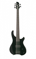 Бас-гитара FERNANDES Tremor 5X TS (T5X08) - JCS.UA