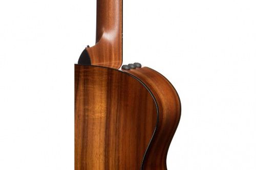 Гітара електроакустична TAYLOR GUITARS 224CE-K DLX  - JCS.UA фото 3