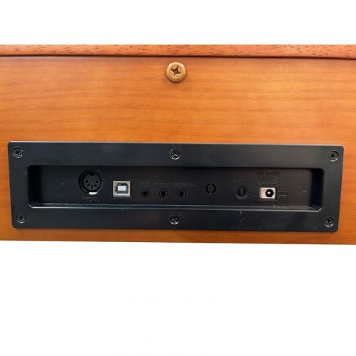 Цифровое пианино Alfabeto Animato Assai Limited Edition - JCS.UA фото 3