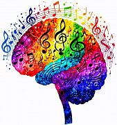 Нейропластичність та музичне навчання: як мозок адаптується