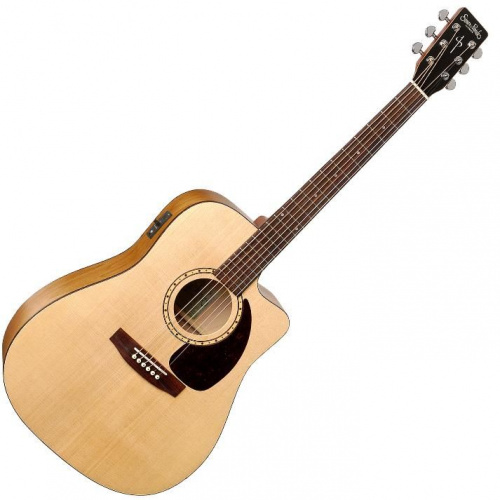 Акустическая гитара S&P 029044 - Woodland CW Spruce A3T(QIT) - JCS.UA фото 2
