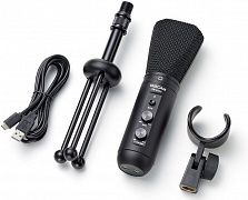 USB-мікрофон Tascam TM-250U