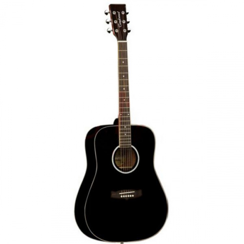 Акустична гітара Tanglewood TW28 CLBK - JCS.UA