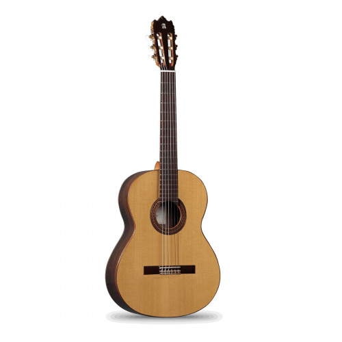 Класична гітара Alhambra Iberia Ziricote BAG - JCS.UA