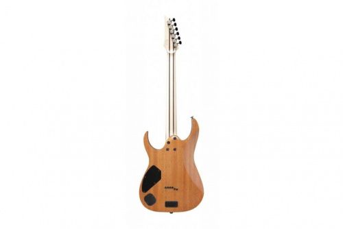 Електрогітара Ibanez RG5121 DBF - JCS.UA фото 2