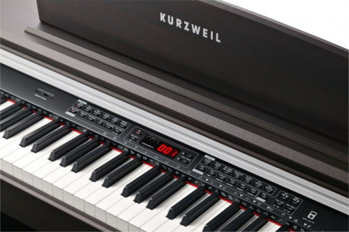 Цифрове піаніно Kurzweil KA-150 SR - JCS.UA фото 3