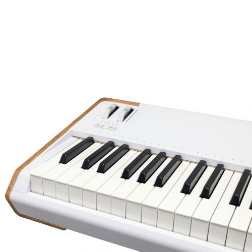 Синтезатор Arturia AstroLab 88 - JCS.UA фото 4