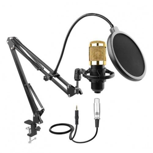 Микрофон HL AUDIO BM-800 - JCS.UA фото 4