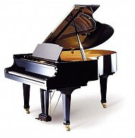 Акустический рояль Ritmuller GH160R Ebony - JCS.UA