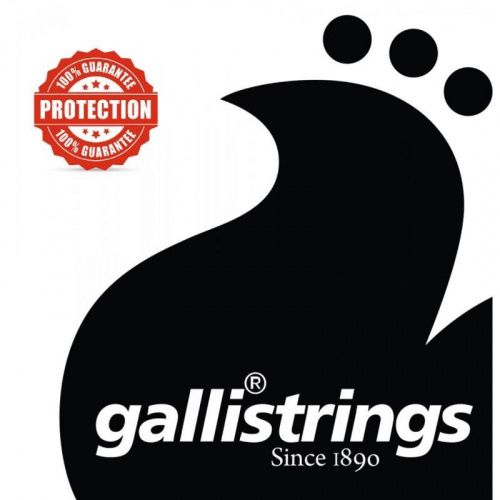 Струны для классической гитары Gallistrings GR45 NORMAL TENSION - JCS.UA фото 2