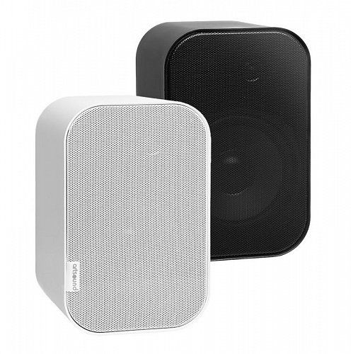 Системы 100V для больших ресторанных комплексов