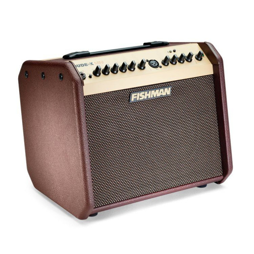 Комбоусилитель Fishman PRO-LBT-EU5 Loudbox Mini 60 - JCS.UA