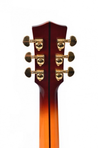 Электроакустическая гитара Sigma SGJA-SG200 Limited Series - JCS.UA фото 6