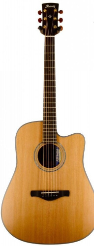 Електроакустична гітара Ibanez AW3050CE LG - JCS.UA