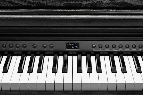 Цифрове піаніно Kurzweil CUP E1 BK - JCS.UA фото 6 Цифрове піаніно Kurzweil CUP E1 BK - JCS.UA фото 6