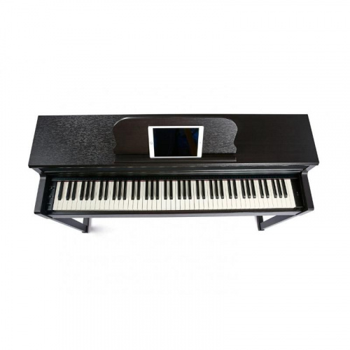 Цифровое пианино The ONE TOP2 (Rosewood) - JCS.UA фото 4