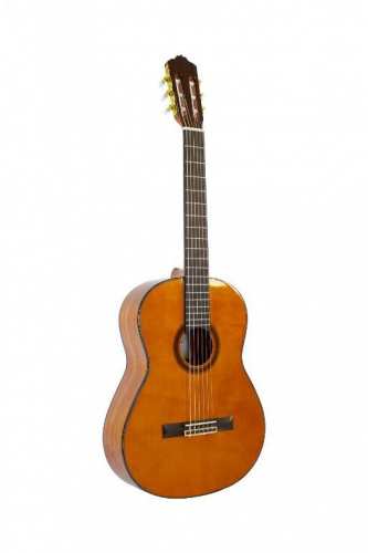 Классическая гитара Prima MCG603 - JCS.UA фото 2