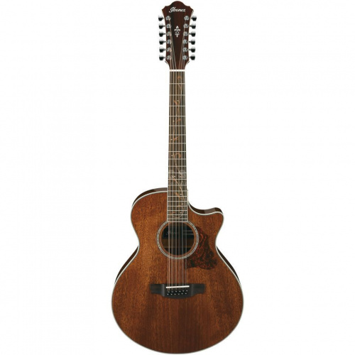 Електроакустична гітара IBANEZ AE2412 NT - JCS.UA