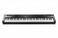 Цифрове піаніно Artesia PA88H Black - JCS.UA