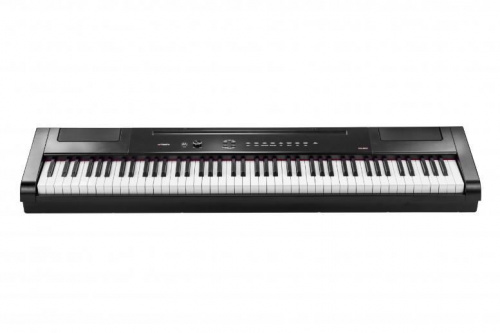 Цифровое пианино Artesia PA88H Black - JCS.UA