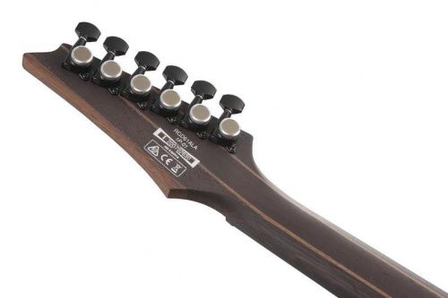 Електрогітара IBANEZ RGD61ALA MTR - JCS.UA фото 9
