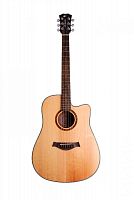 Акустическая гитара Alfabeto SOLID WMS41 NT + чехол (bag) - JCS.UA