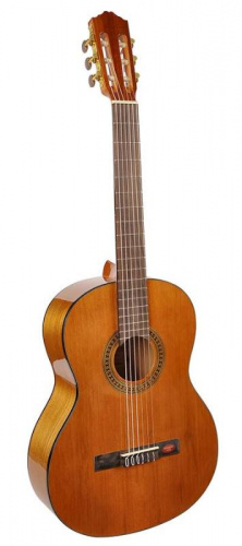 Класична гітара Salvador Cortez CC-08 - JCS.UA