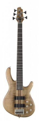 Бас-гитара Cort Artisan A5 OPN - JCS.UA