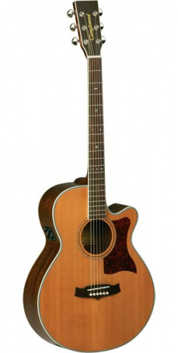 Электроакустическая гитара Tanglewood TW45 H E - JCS.UA