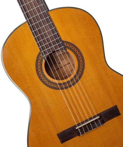 Класична гітара Alfabeto SAPELE CS39G + чохол - JCS.UA фото 4