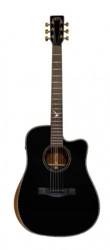 Трансакустическая гитара Fiesta D2 Black TransAcoustic - JCS.UA