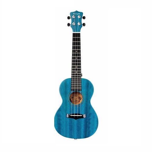 Укулеле Enya EUC-25D BL - JCS.UA