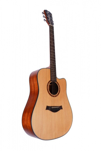 Акустическая гитара Alfabeto SOLID WMS41 ST + чехол (bag) - JCS.UA