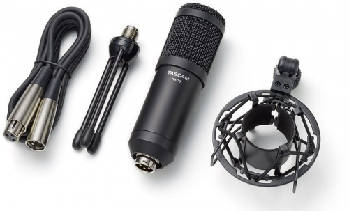 Микрофон для трансляций Tascam TM-70 - JCS.UA фото 2
