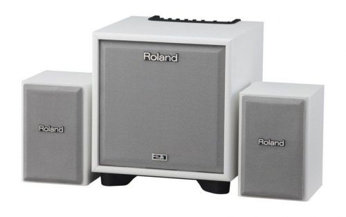 Мониторная система Roland CM110WH - JCS.UA