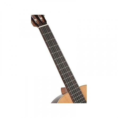 Классическая гитара Alhambra 2C BAG 4/4 - JCS.UA фото 4