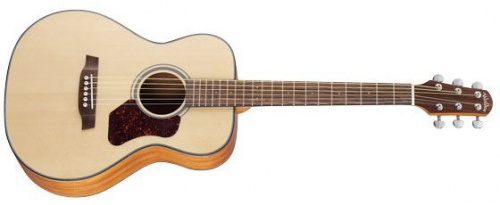 Акустическая гитара Walden T550 - JCS.UA фото 2