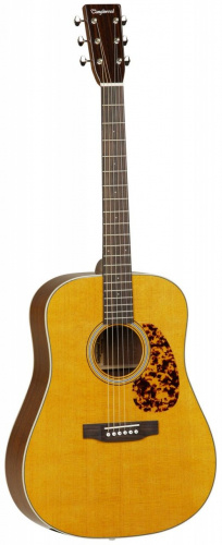 Электроакустическая гитара Tanglewood TW40 D AN E - JCS.UA