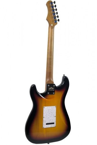 Электрогитара Toneberg TEST-610 VS - JCS.UA фото 3 Электрогитара Toneberg TEST-610 VS - JCS.UA фото 3