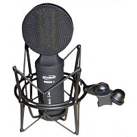 Мікрофон Prodipe RIBBON 1 - JCS.UA