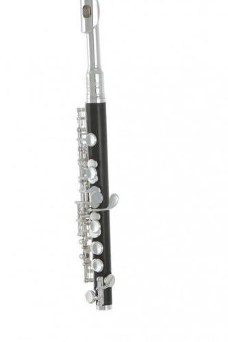 Флейта-пікколо Roy Benson PC-502 - JCS.UA фото 3