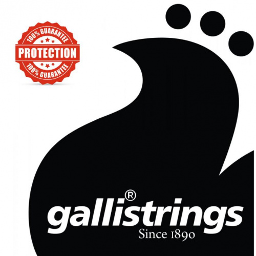 Струни для мандоліни Gallistrings G1420 - JCS.UA фото 2