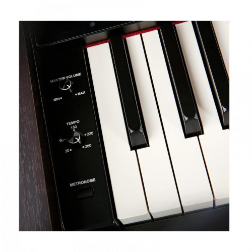 Цифровое пианино The ONE TOP2 (Rosewood) - JCS.UA фото 8