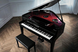 Представьте гибридный рояль и наслаждайтесь каждой его минутой!