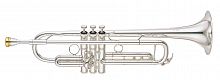 Труба YAMAHA YTR-8335RGS - JCS.UA