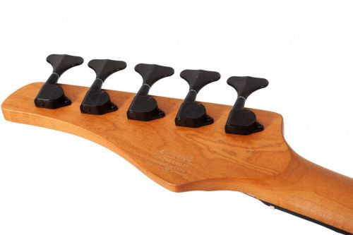 Бас-гитара Schecter C-5 Standard Tobacco Burl - JCS.UA фото 14 Бас-гитара Schecter C-5 Standard Tobacco Burl - JCS.UA фото 14