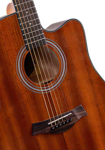 Акустична гітара Alfabeto SAPELE WS41 ST + чохол - JCS.UA фото 3