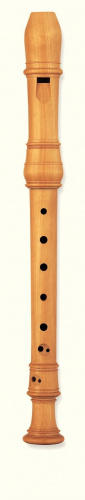 Блок-флейта YAMAHA YRN-801 - JCS.UA