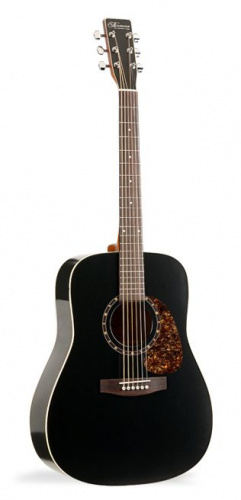 Акустична гітара NORMAN 021017 - Protege B18 Cedar Black - JCS.UA