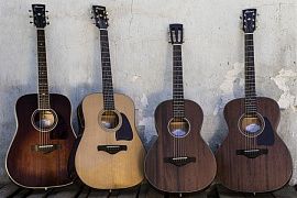 Нове надходження! Акустичні гітари Ibanez!